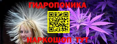 сатива Можга
