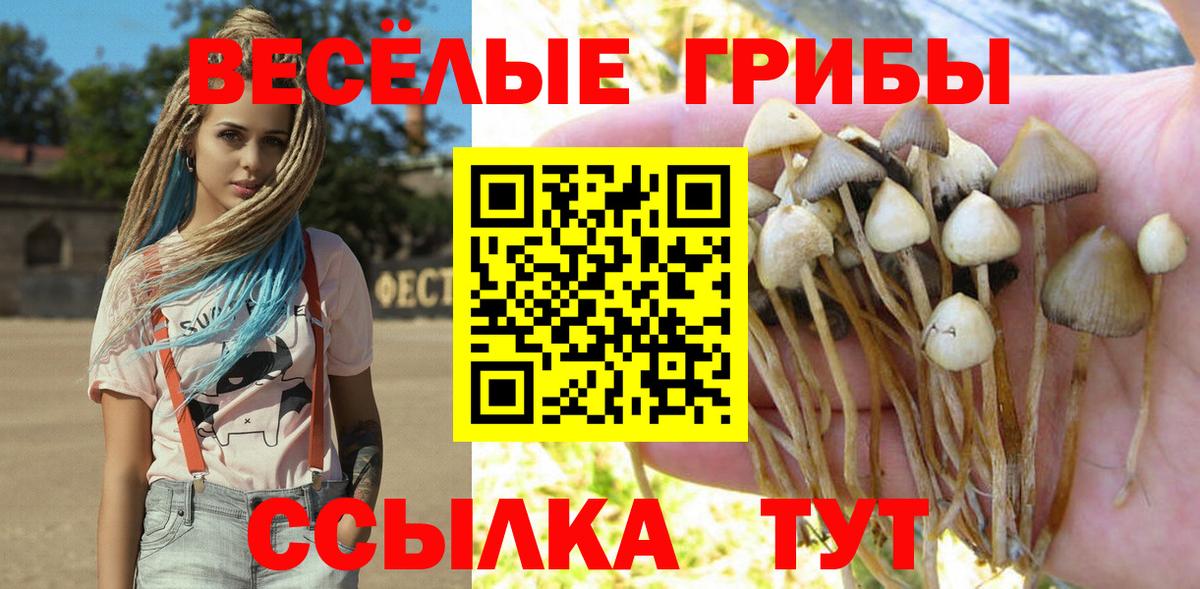 Галлюциногенные грибы прущие грибы Томск